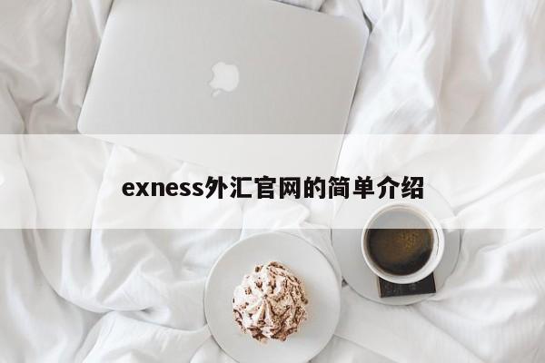 exness外汇官网的简单介绍