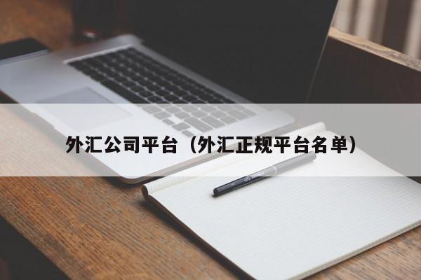 外汇公司平台（外汇正规平台名单）