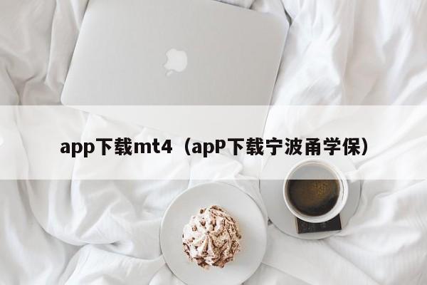 app下载mt4（apP下载宁波甬学保）