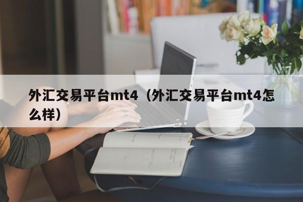 外汇交易平台mt4（外汇交易平台mt4怎么样）