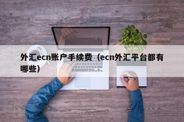 外汇ecn账户手续费（ecn外汇平台都有哪些）