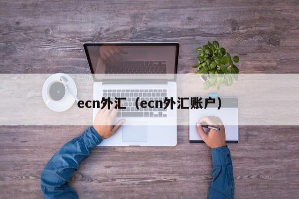 ecn外汇（ecn外汇账户）