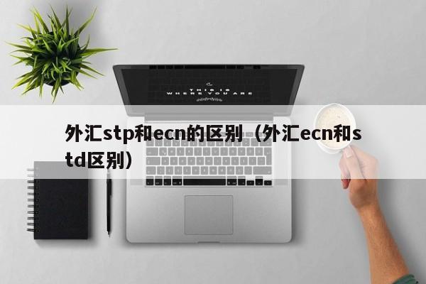 外汇stp和ecn的区别（外汇ecn和std区别）