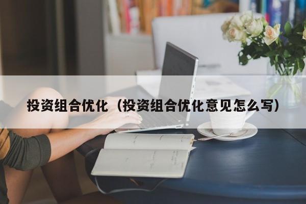 投资组合优化（投资组合优化意见怎么写）