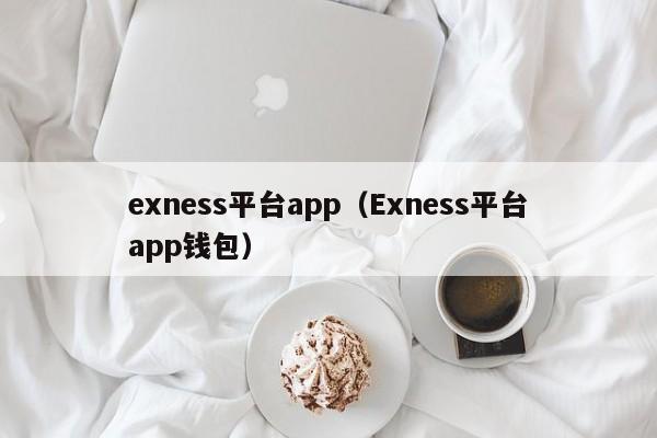 exness平台app（Exness平台app钱包）