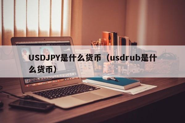 USDJPY是什么货币（usdrub是什么货币）