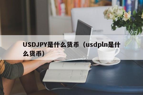 USDJPY是什么货币（usdpln是什么货币）