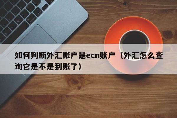 如何判断外汇账户是ecn账户（外汇怎么查询它是不是到账了）