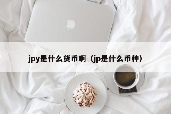 jpy是什么货币啊（jp是什么币种）