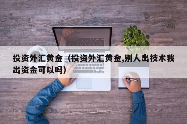 投资外汇黄金（投资外汇黄金,别人出技术我出资金可以吗）