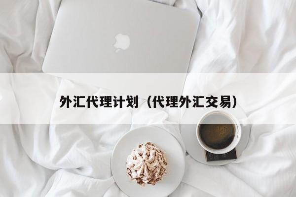 外汇代理计划（代理外汇交易）